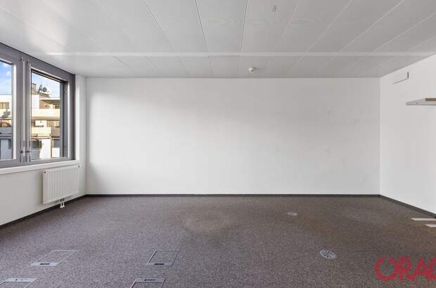 Gewerbeobjekt mieten in 1020 Wien (Bild 5)