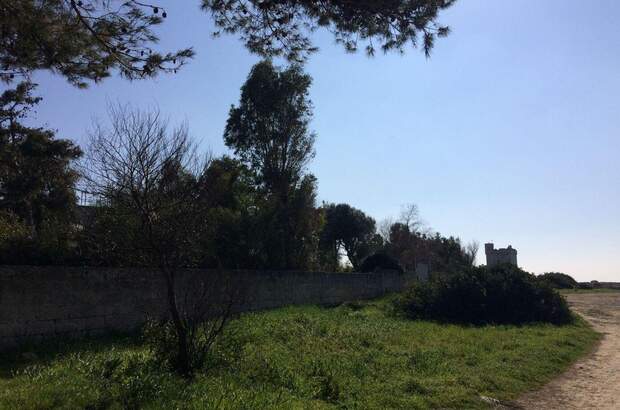 Haus mit Garten kaufen in 73048 Nardo´ (Bild 5)