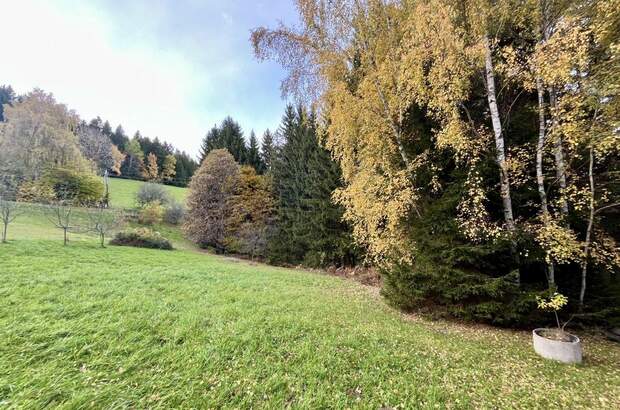 Grundstück kaufen in 8162 Passail (Bild 2)