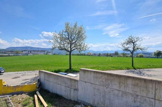 Haus mit Garten kaufen in 4400 Steyr (Bild 1)