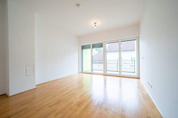 Terrassenwohnung mieten in 3380 Pöchlarn (Bild 1)