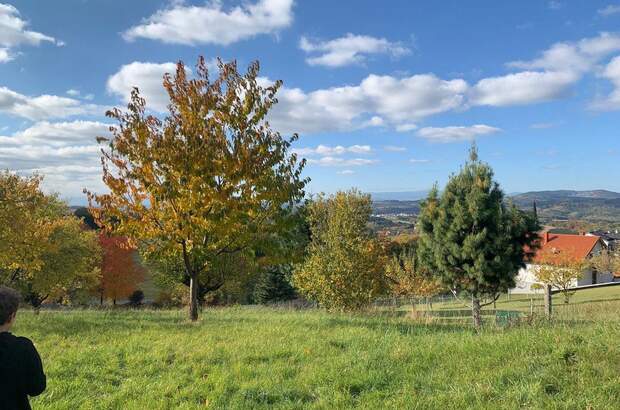 Grundstück kaufen in 7435 Unterkohlstätten (Bild 3)