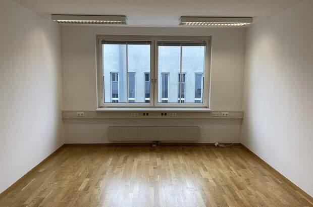 Gewerbeobjekt mieten in 1230 Wien (Bild 3)