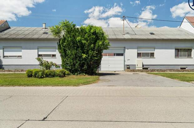 Mehrfamilienhaus kaufen in 2286 Haringsee (Bild 3)