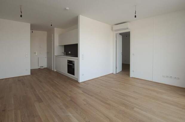 Terrassenwohnung mieten in 1030 Wien (Bild 1)