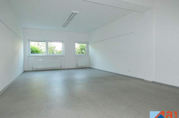 Gewerbeobjekt mieten in 4050 Traun (Bild 2)