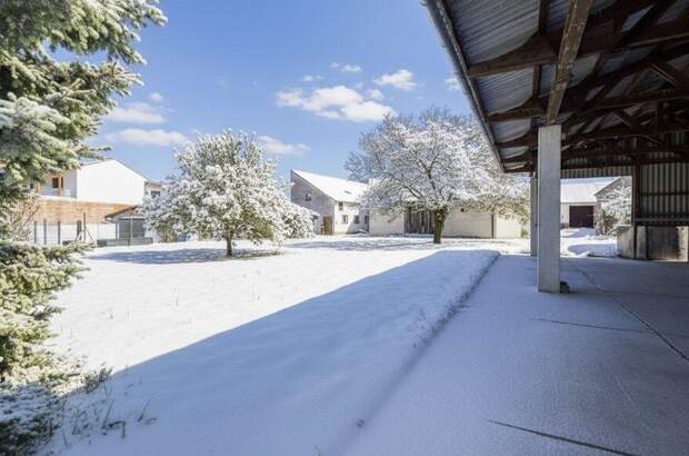 Gewerbeobjekt kaufen in 2431 Enzersdorf (Bild 5)