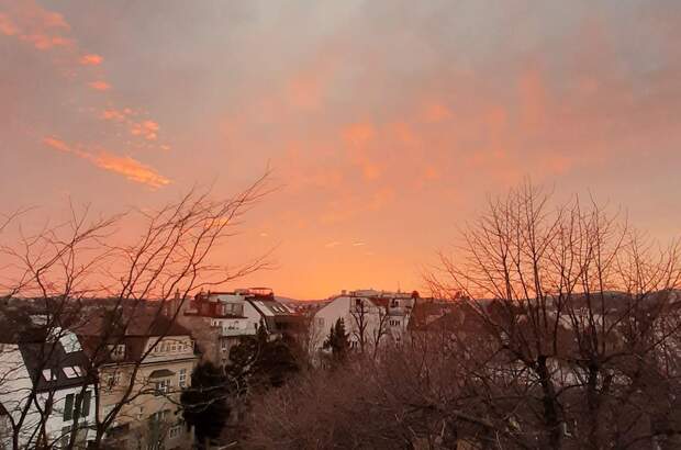 Altbauwohnung mieten in 1190 Wien (Bild 1)