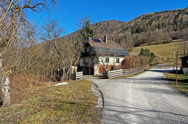 Grundstück kaufen in 3183 Freiland (Bild 4)