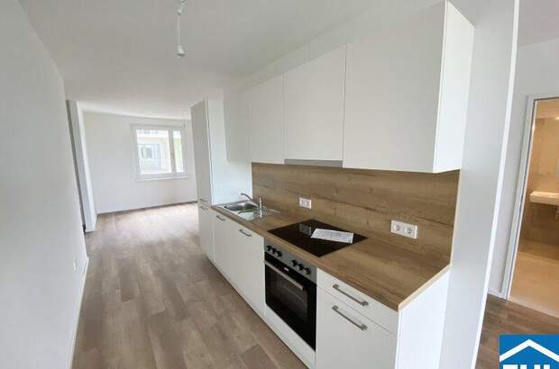 Terrassenwohnung mieten in 3451 Michelhausen (Bild 4)