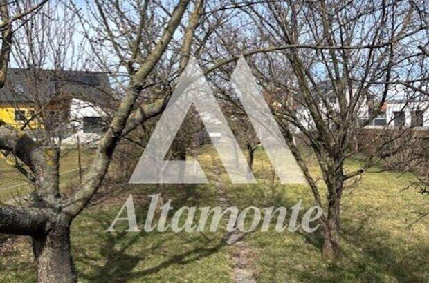 Haus kaufen in 2245 Velm (Bild 5)