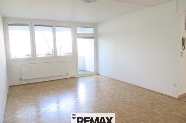 Terrassenwohnung mieten in 2344 Maria Enzersdorf (Bild 1)