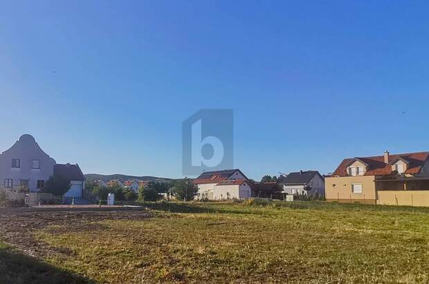 Grundstück kaufen in 7083 Purbach (Bild 1)