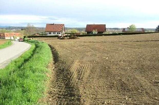 Grundstück kaufen in 8522 Groß Sankt Florian (Bild 5)