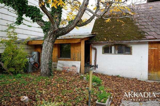 Einfamilienhaus kaufen in 2511 Pfaffstätten (Bild 4)