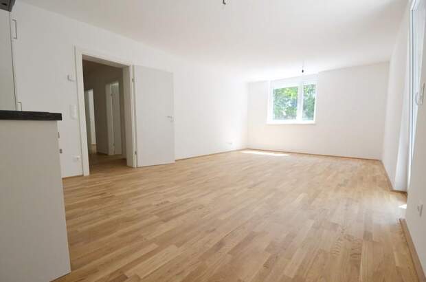 Terrassenwohnung mieten in 8020 Graz (Bild 1)