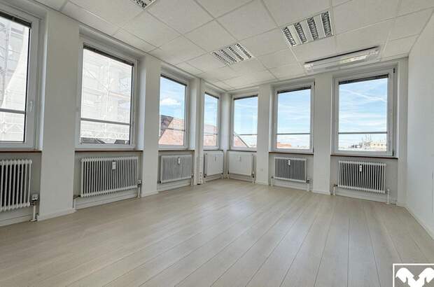 Gewerbeobjekt mieten in 4600 Wels (Bild 4)