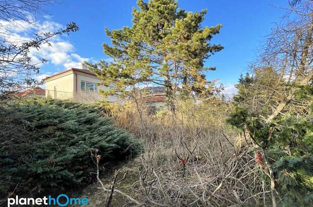 Grundstück kaufen in 1220 Wien (Bild 5)