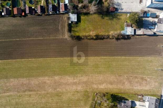 Gewerbeobjekt kaufen in 3300 Amstetten (Bild 4)