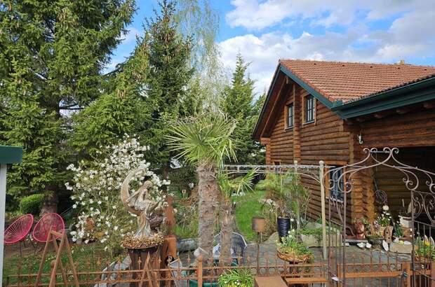 Haus mit Garten kaufen in 3950 Dietmanns (Bild 4)