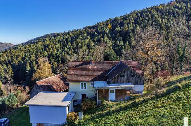 Gewerbeobjekt kaufen in 8570 Kleinwöllmiß (Bild 5)