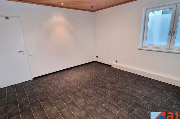 Gewerbeobjekt mieten in 4050 Traun (Bild 3)