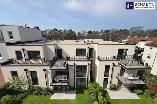 Terrassenwohnung kaufen in 2301 Groß (Bild 3)