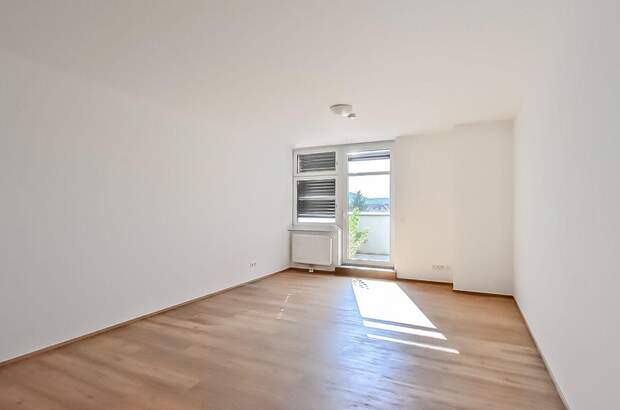 Gewerbeobjekt mieten in 1230 Wien (Bild 3)