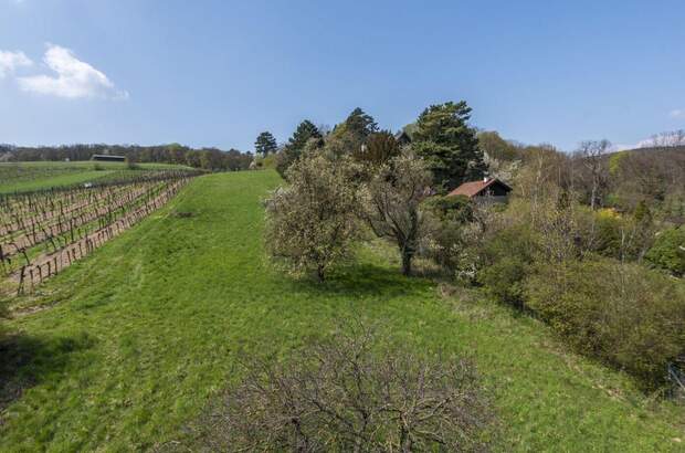 Grundstück kaufen in 3400 Klosterneuburg (Bild 4)