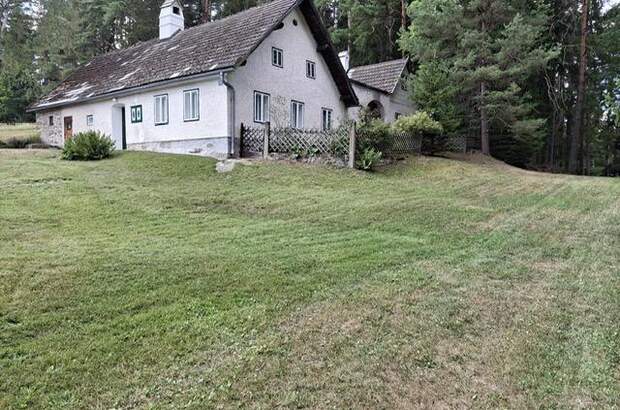 Haus kaufen in 3920 Groß (Bild 1)