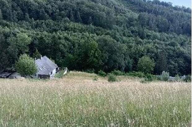 Grundstück kaufen in 3051 Neulengbach (Bild 3)