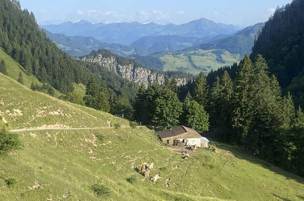 Gewerbeobjekt kaufen in 6346 Niederndorferberg (Bild 3)