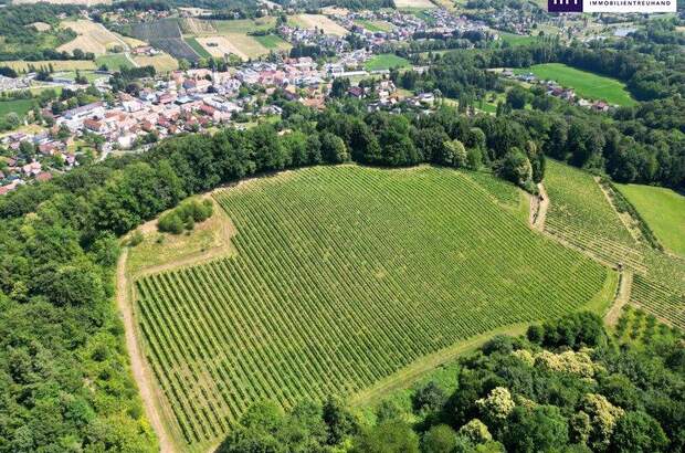 Grundstück kaufen in 8462 Gamlitz (Bild 1)