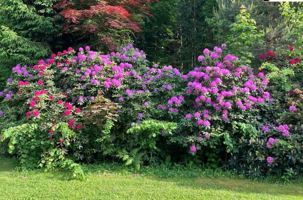 Haus kaufen in 9122 St. Kanzian (Bild 3)