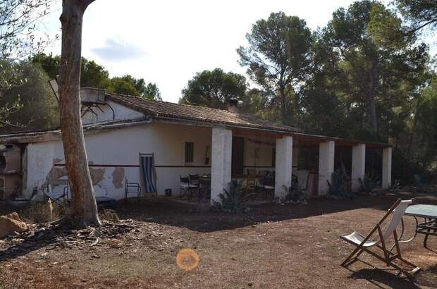 Immobilie kaufen in 7620 Llucmajor (Bild 2)