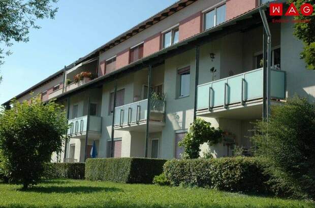 Wohnung mieten in 8753 Fohnsdorf (Bild 1)