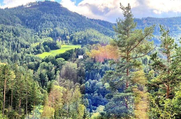 Wohnung kaufen in 2680 Semmering