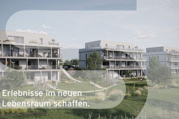 Wohnung kaufen in 4073 Wilhering (Bild 1)