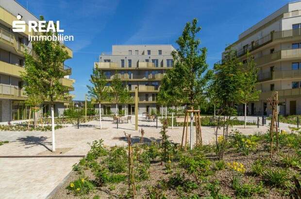 Terrassenwohnung kaufen in 1210 Wien (Bild 1)