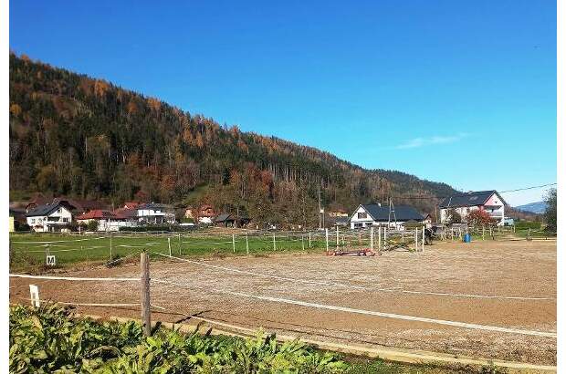 Jagd- und Forstwirtschaft kaufen in 9371 Brückl (Bild 5)