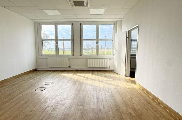 Gewerbeobjekt mieten in 2320 Schwechat
