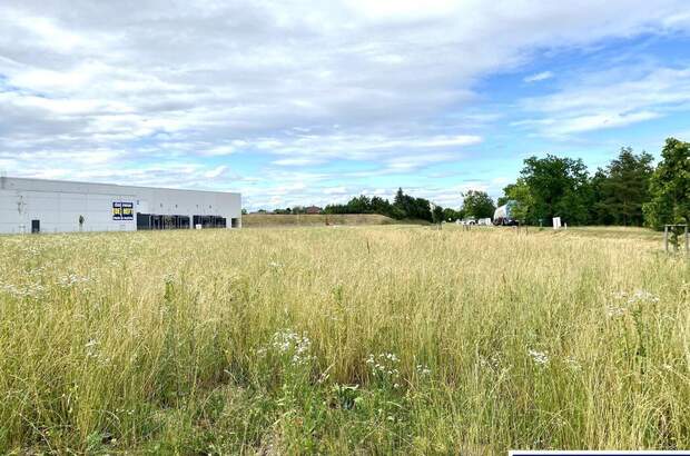 Gewerbeobjekt mieten in 4623 Gunskirchen (Bild 1)