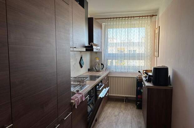 Wohnung kaufen in 1100 Wien (Bild 4)