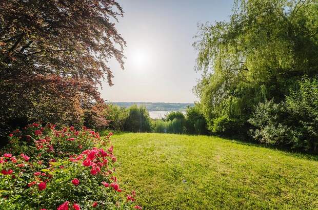 Einfamilienhaus kaufen in 5163 Mattsee (Bild 3)