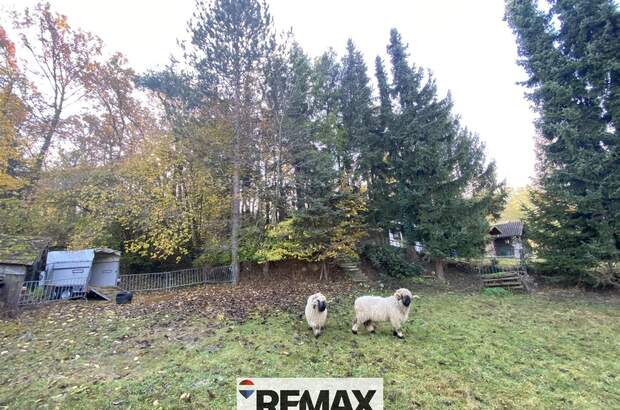 Einfamilienhaus kaufen in 3452 Atzenbrugg (Bild 3)