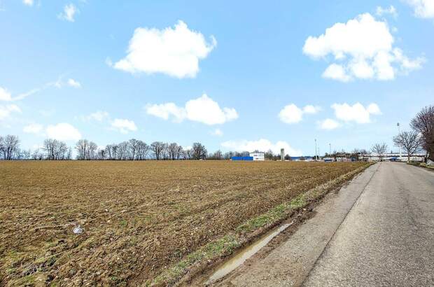 Grundstück mieten in 4975 Suben (Bild 1)