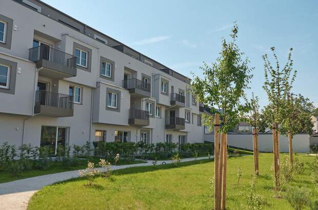 Wohnung mieten in 4600 Wels (Bild 1)