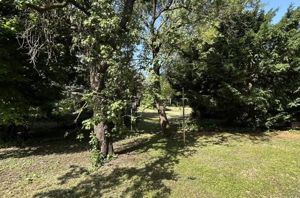 Grundstück kaufen in 2380 Perchtoldsdorf (Bild 5)