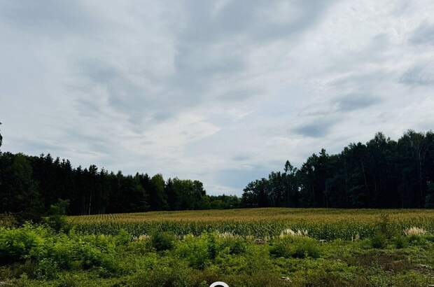 Gewerbeobjekt kaufen in 4642 Sattledt (Bild 3)