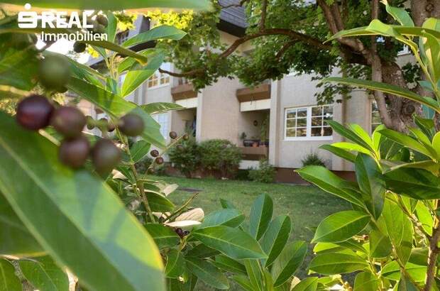 Terrassenwohnung mieten in 2380 Perchtoldsdorf (Bild 1)